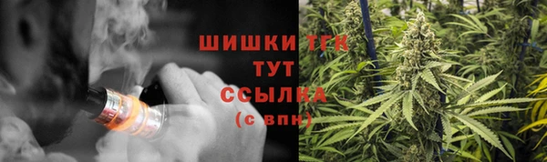 винт Армянск