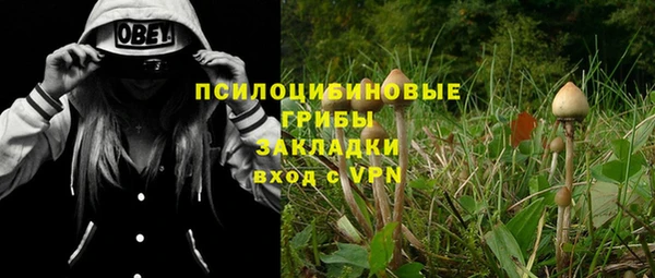 крисы Балахна