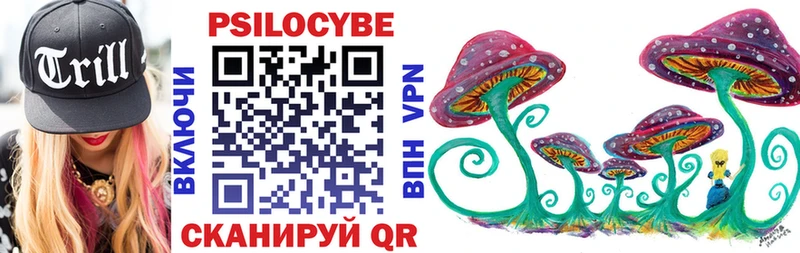 Псилоцибиновые грибы прущие грибы Трубчевск